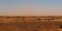 Почвенный покров пустынь Австралии