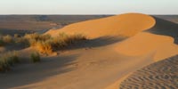 Поверхность пустынь Средней Азии